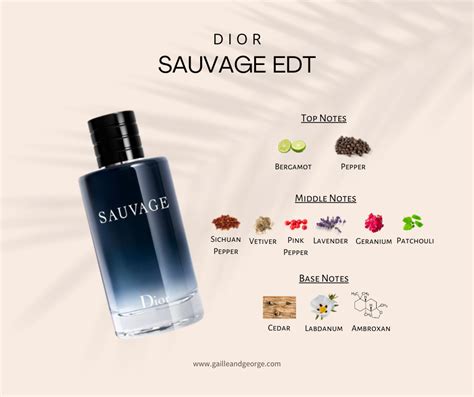 sauvage Dior cologne notes